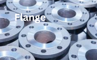 Flange