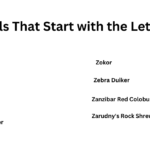 Animals That Start with the Letter Z